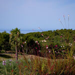 © Résidence Dolce Frégate Provence - Office de tourisme de Saint-Cyr-sur-Mer / Joan Costeja