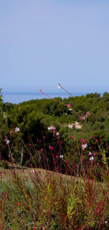 © Résidence Dolce Frégate Provence - Office de tourisme de Saint-Cyr-sur-Mer / Joan Costeja