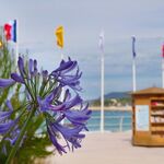 © Bibliothèque de la plage - Office de tourisme de Saint-Cyr-sur-Mer / Joan Costeja