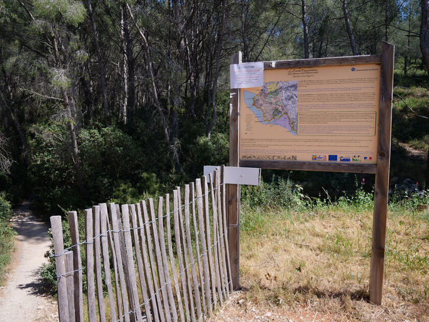 © Le sentier des vignes - Office de tourisme de Saint-Cyr-sur-Mer / Joan Costeja