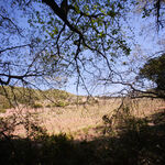 © Le sentier des vignes - Office de tourisme de Saint-Cyr-sur-Mer / Joan Costeja