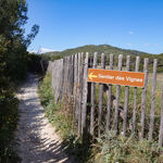 © Le sentier des vignes - Office de tourisme de Saint-Cyr-sur-Mer / Joan Costeja