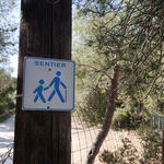 © Le sentier des vignes - Office de tourisme de Saint-Cyr-sur-Mer / Joan Costeja