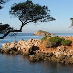 © Plage du Capelan Bandol - Plage du Capelan Bandol