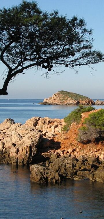 © Plage du Capelan Bandol - Plage du Capelan Bandol