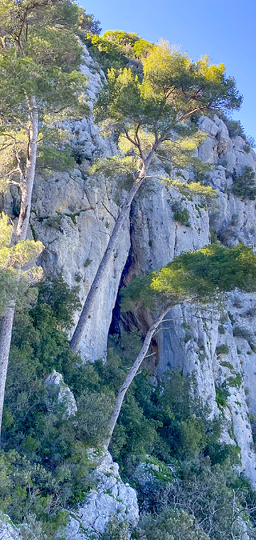 © La Grotte du Garou 1 - Tourist Office of Sanary-sur-Mer