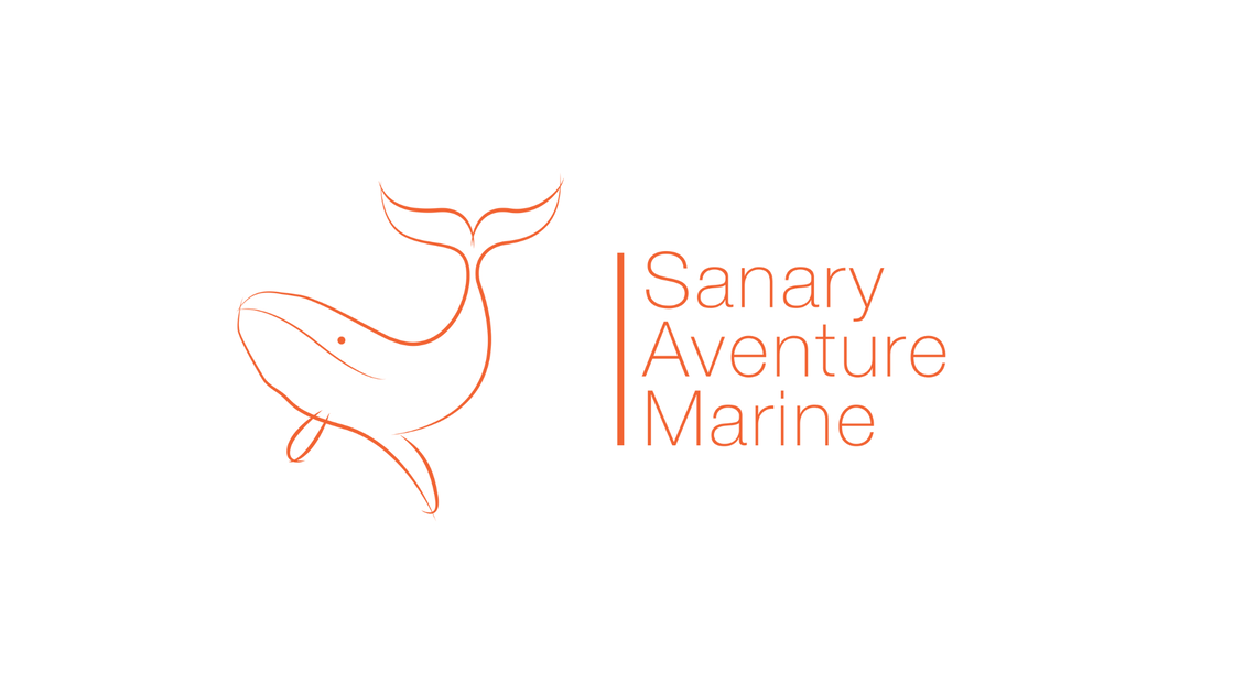 © Sanary Aventure Marine - Sanary Aventure Marine