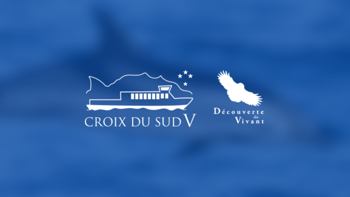 © CROIX DU SUD V - CROIX DU SUD V