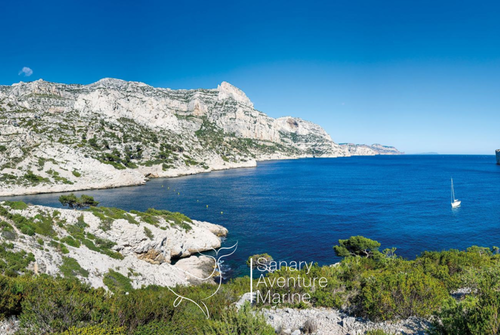 Sanary Aventure Marine : Découverte des Calanques