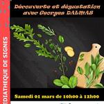 © Les salades sauvages de notre terroir_Signes - mairie de signes