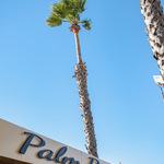 © Palm B_Bandol - Palm B_Bandol