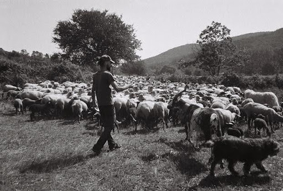 © Balade - Souvenirs de transhumance_Le Beausset - ©Ferme du Lambert