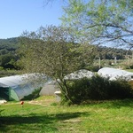 © vue d'ensemble des serres - Algazur - Spiruline de la Ferme d'Alon