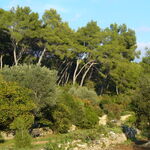 © Maison départementale de la Maison de la Nature des Quatre Frères - Commune Le Beausset