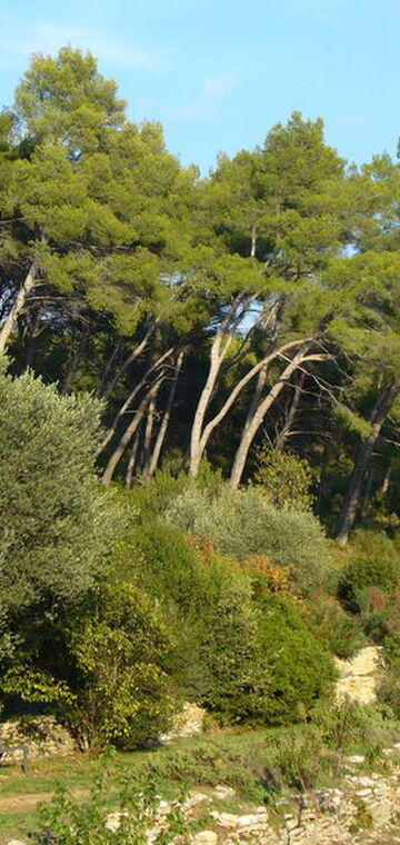 © Maison départementale de la Maison de la Nature des Quatre Frères - Commune Le Beausset