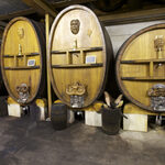 © Wine domain Ray Jane - Domaine Ray Jane - Le Castellet