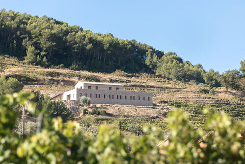 Domaine La Font des Pères