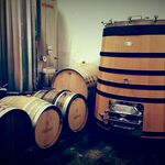 © Castell Reynoard Vineyard - Julien Castell