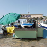 © Etals de pêcheurs Sanary Var - Ville de Sanary sur mer