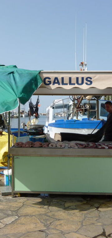 © Etals de pêcheurs Sanary Var - Ville de Sanary sur mer