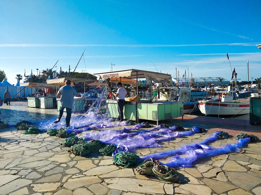 © Etals des pêcheurs - Sanary Tourisme