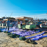 © Etals des pêcheurs - Sanary Tourisme