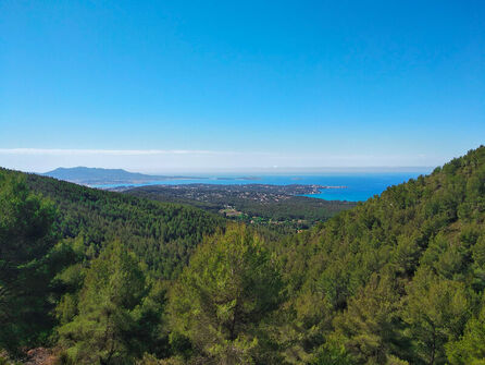 Walks and nature in the Gros Cerveau mountain