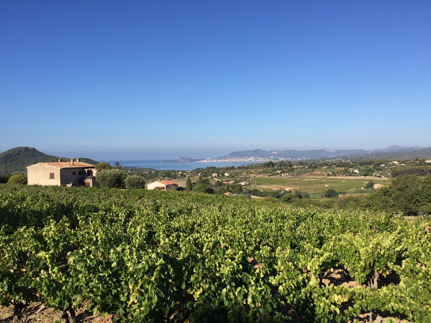 © Balade Fontanieu-Pibarnon-St Côme - Sophie Delsanti