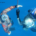 © Posidonia Apnea - Posidonia Apnea