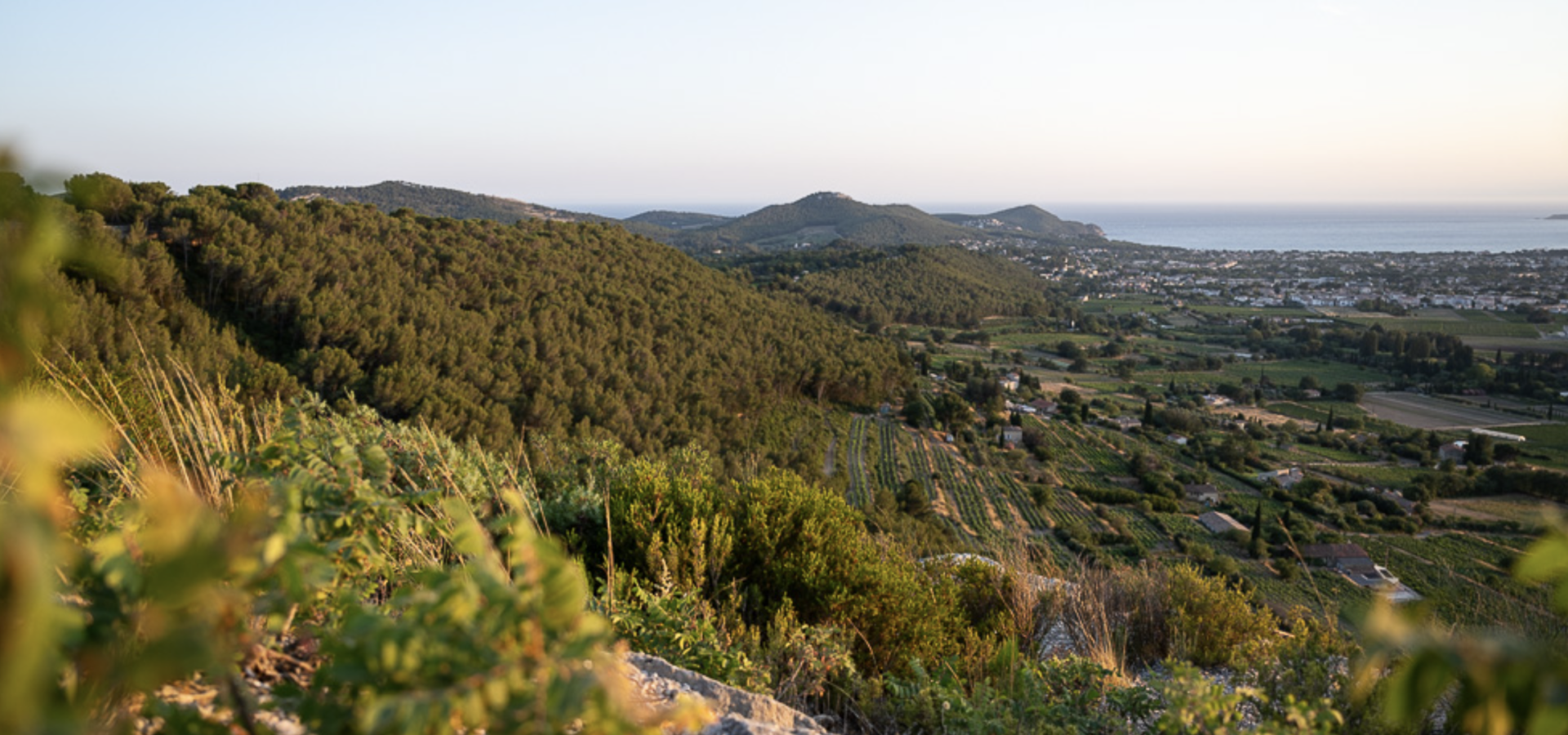 Découvrir la Provence