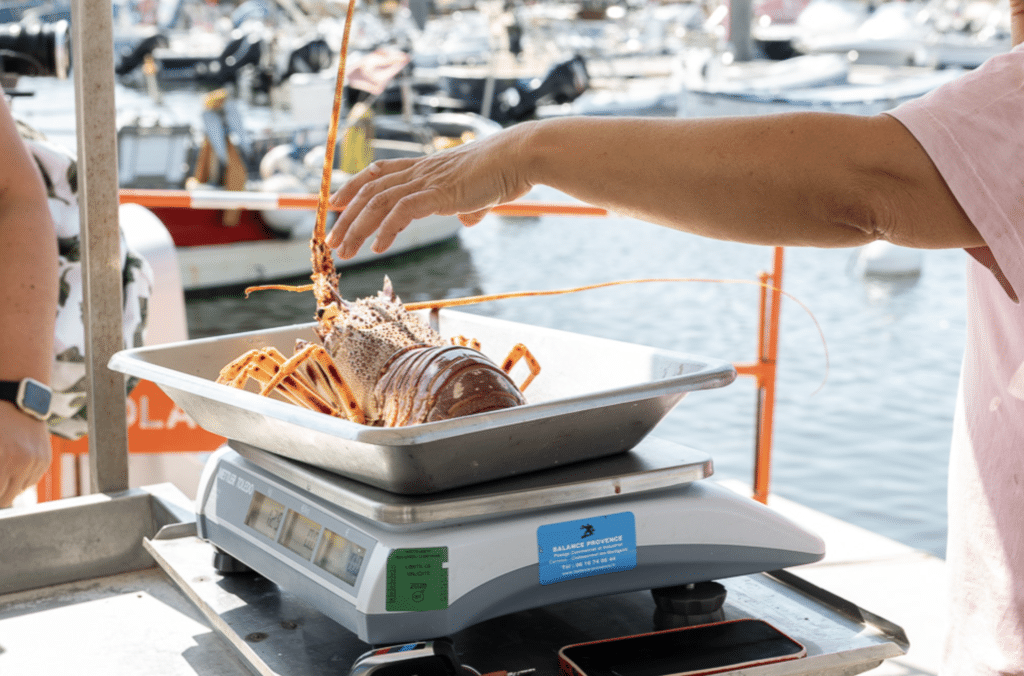  Sanary-sur-mer marché