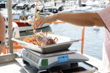 Marché Sanary-sur-mer